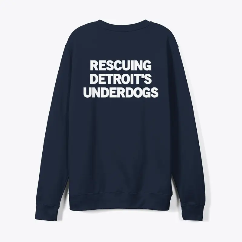 RESCUING DETROIT'S UNDERDOGS